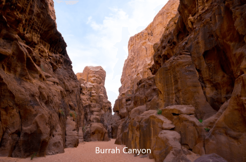 Burrah Canyon Wadi Rum Jordanie
